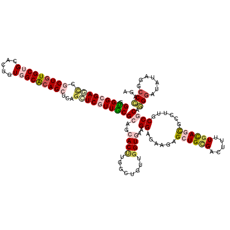 secondary structure