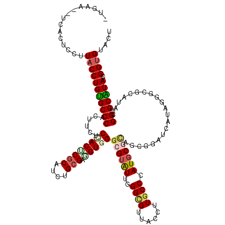 secondary structure