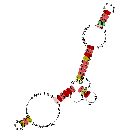 secondary structure
