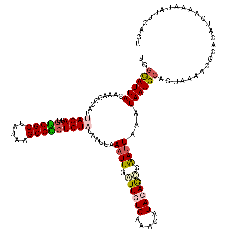 secondary structure