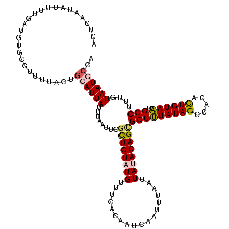 secondary structure