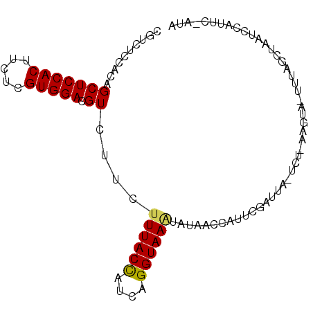 secondary structure