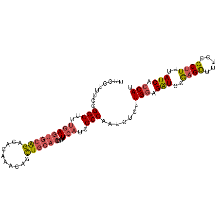 secondary structure