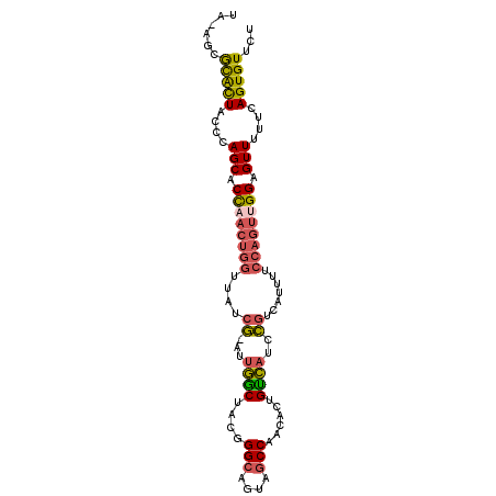 secondary structure