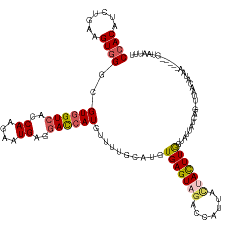 secondary structure