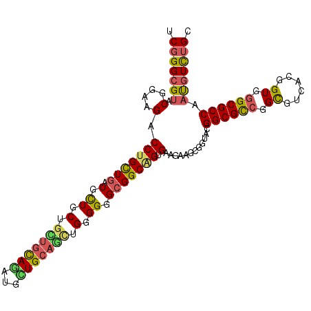 secondary structure