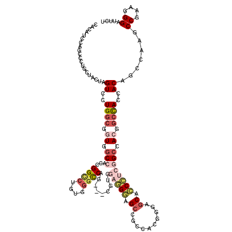 secondary structure