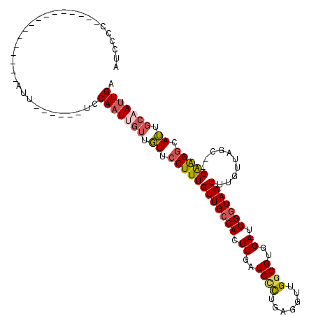 secondary structure
