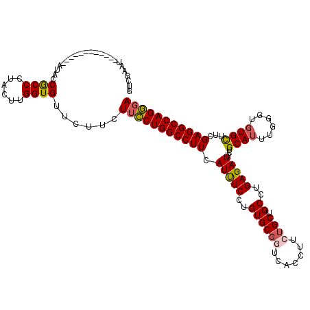 secondary structure