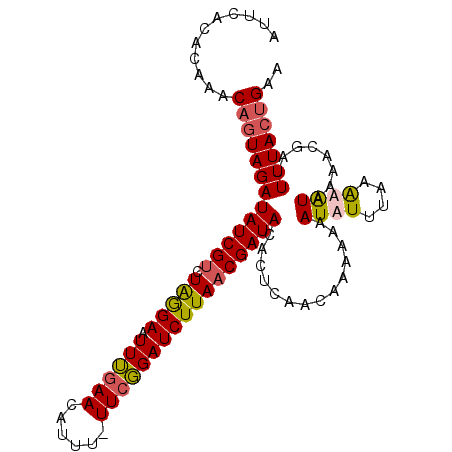 secondary structure