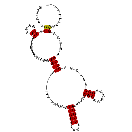 secondary structure