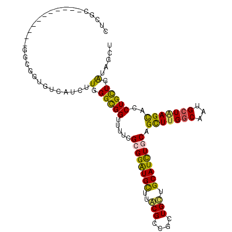 secondary structure