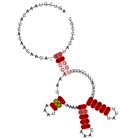 secondary structure