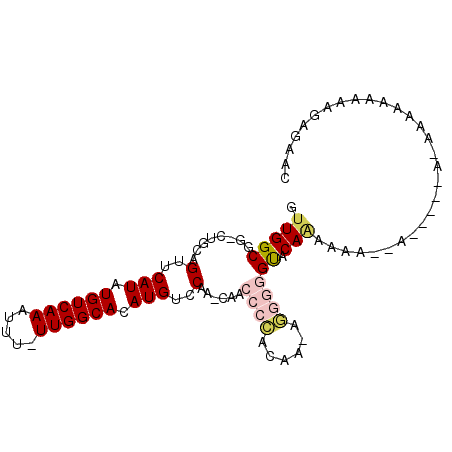secondary structure