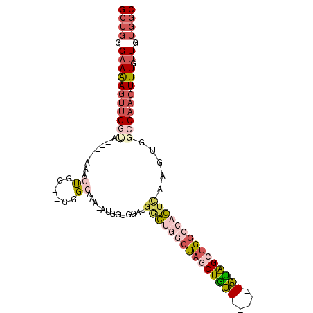 secondary structure
