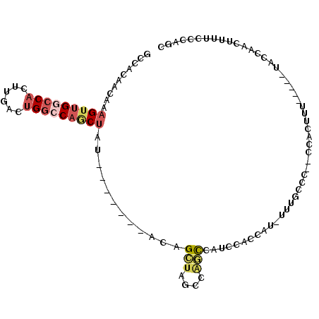 secondary structure
