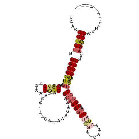 secondary structure