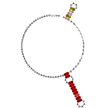 secondary structure