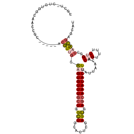 secondary structure