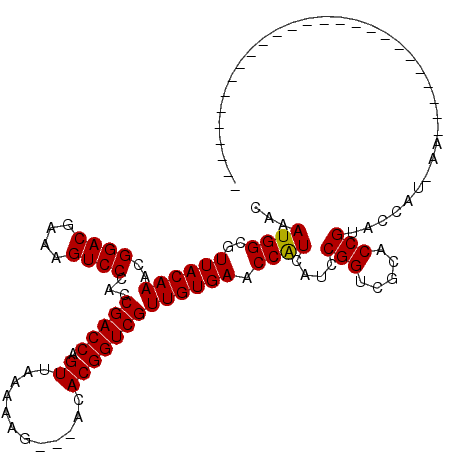 secondary structure