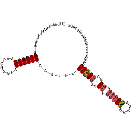 secondary structure
