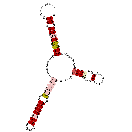 secondary structure