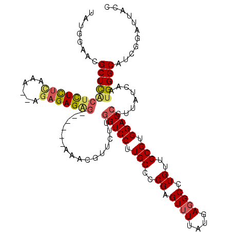 secondary structure