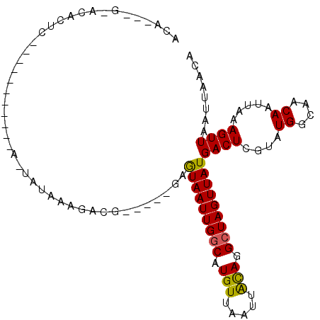 secondary structure
