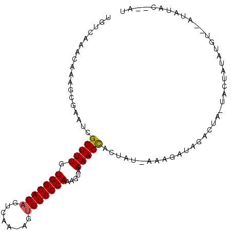 secondary structure