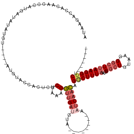 secondary structure