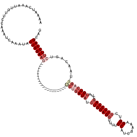 secondary structure
