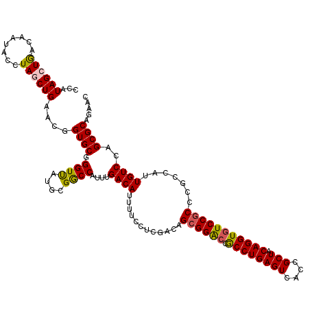 secondary structure