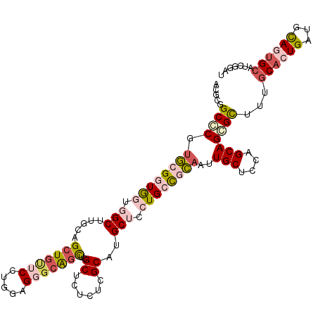 secondary structure