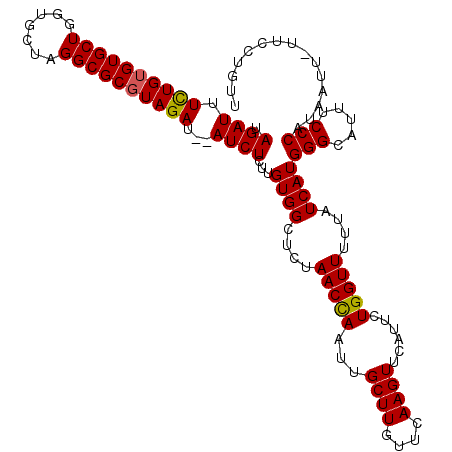 secondary structure