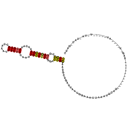 secondary structure