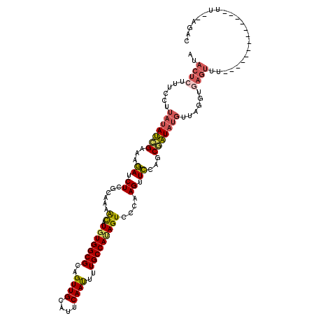 secondary structure