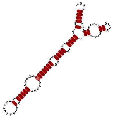 secondary structure