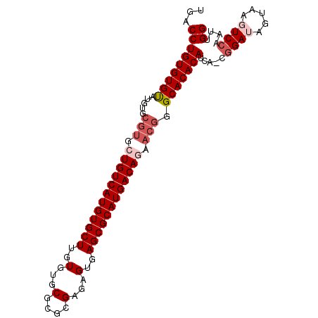 secondary structure