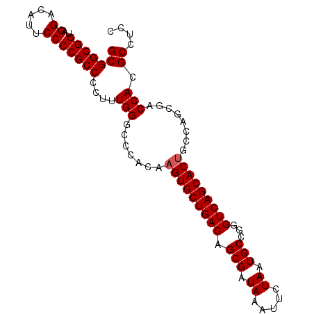 secondary structure