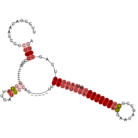 secondary structure