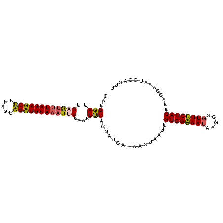 secondary structure