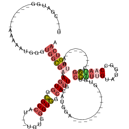 secondary structure