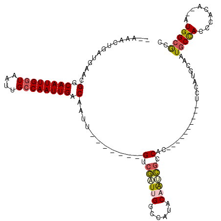 secondary structure