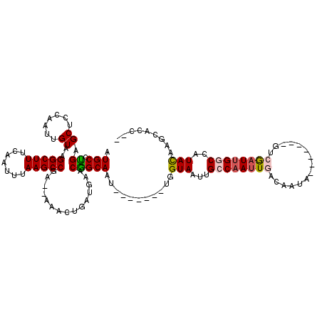 secondary structure