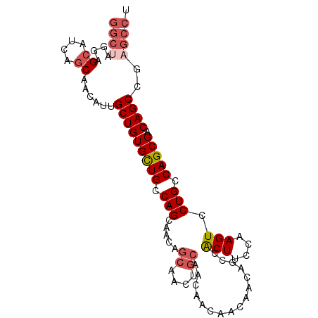 secondary structure