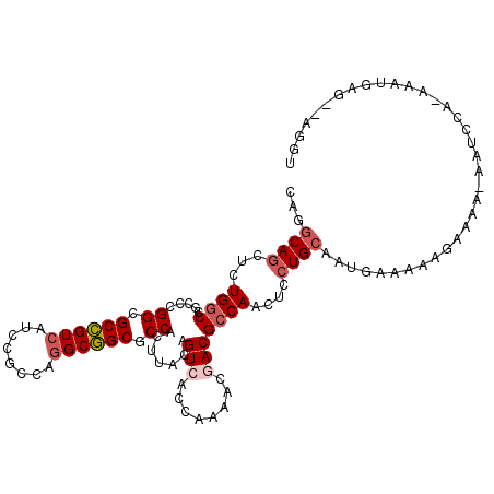 secondary structure
