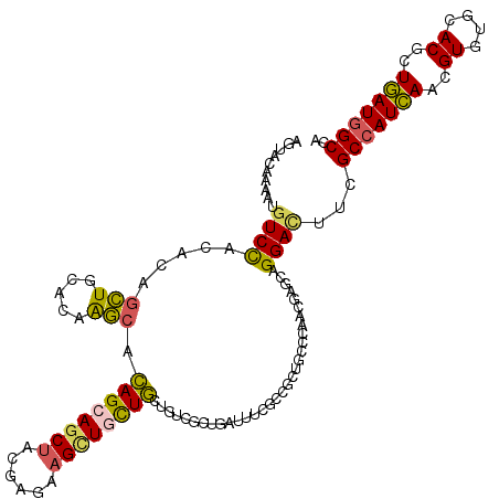 secondary structure