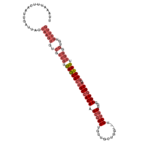 secondary structure