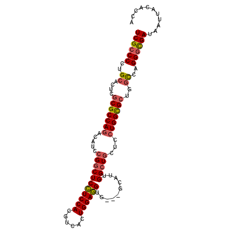 secondary structure