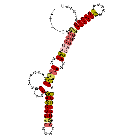 secondary structure